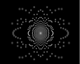 red nomade black duck