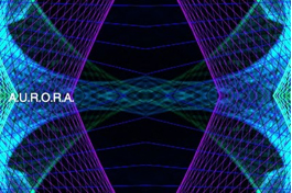 red nomade black duck