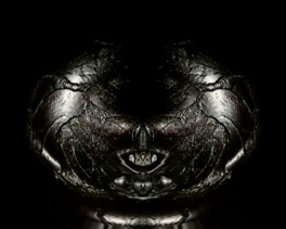 red nomade black duck