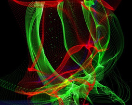 red nomade black duck